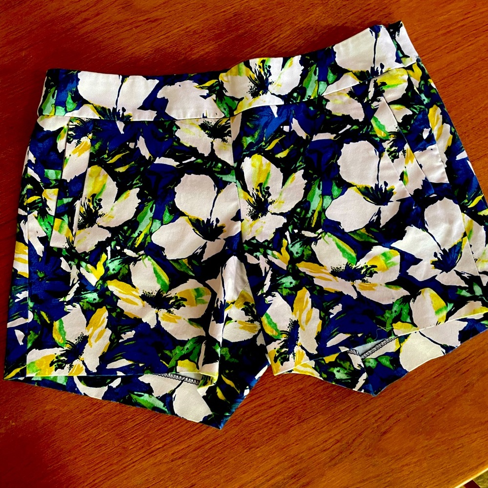 J Crew Shorts